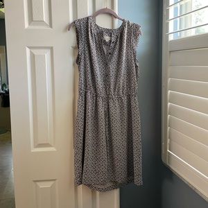 Loft Size Large Dress
